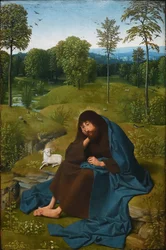 Johannes de Doper in de woestijn