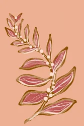 Blush Berry-takje
