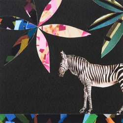 Italiaanse zebra, 2019 (collage)