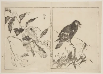 Twee stukken met vogels en bloemen