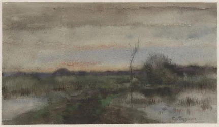Moeraslandschap met zonsondergang