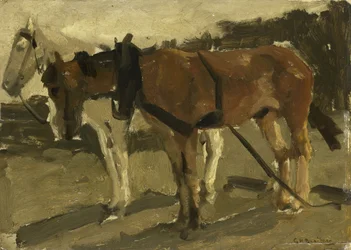 Een bruin en een wit paard in Scheveningen