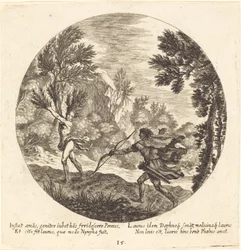 Daphne Verandert in een Laurier