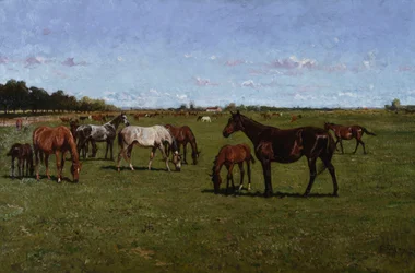 Merries en Veulens, 1917