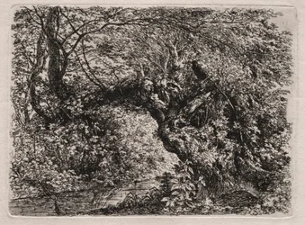 De Oude Wilg bij een Beek, 1794