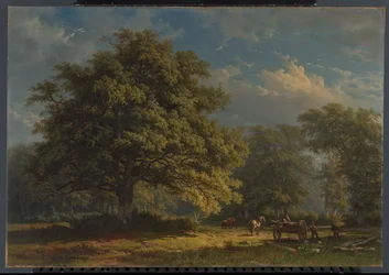 Uitzicht in het Bentheimer bos