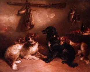 Na de jacht - Een kwartet van spaniels