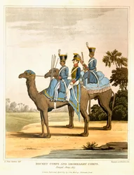 Raketkorps en Dromedaris Korps, Bengaals leger 1817, uit 