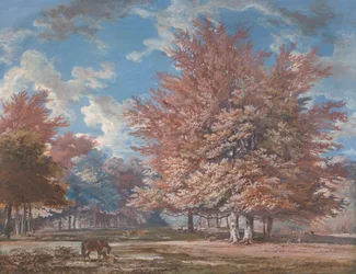 Uitzicht in een Park