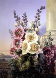 Stokrozen