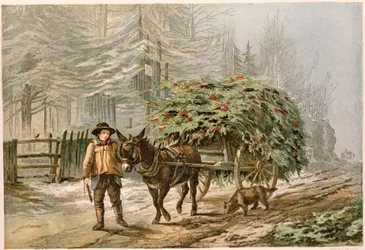 Jongen die een ezel en kar leidt, Victoriaanse kerstkaart