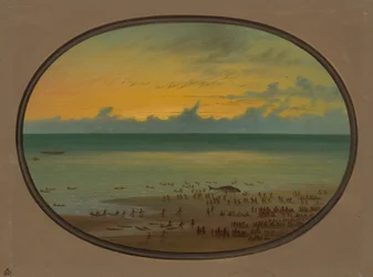 Een walvis aan land - Klahoquat