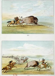 Amerikaanse Indianen: bizonjacht. Illustratie door George Catlin (1794-1872)