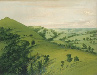 Graf van de merel, een achteraanzicht, prairies geëmailleerd met bloemen, 1832