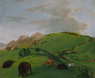 Buffalo Chase, monding van de Yellowstone