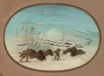 Buffeljacht in de sneeuwdriften - Ojibbeway