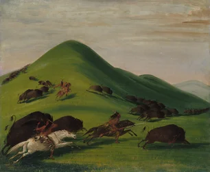Buffeljacht over Prairie Bluffs, 1832-1833