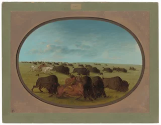 Buffeljacht, met Ongelukken