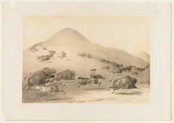 Buffeljacht, jacht nr. 6
