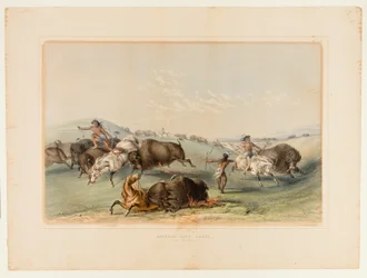 Buffeljacht, jacht nr. 7