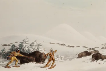 Buffeljacht op sneeuwschoenen