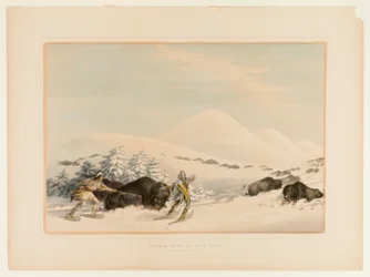 Buffeljacht op sneeuwschoenen - nr. 15
