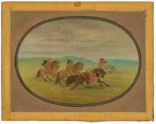 Camanchee rijkunst