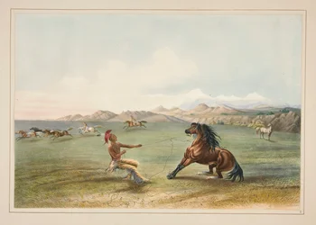 Het Vangen van het Wilde Paard, pl. 4 uit de North American Indian Portfolio