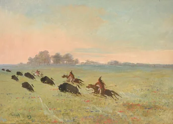 Comanche-indianen jagen op buffels