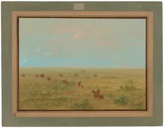 De Pampas drijven voor wilde runderen - Connibo