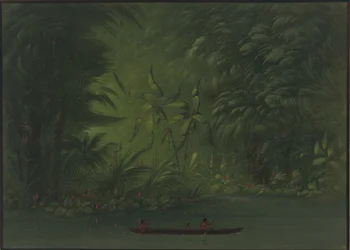 Ingang naar een Lagune, Oever van de Amazone