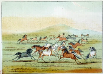 Indianen van Amerika: Wilde paarden gejaagd door Indianen. Illustratie door George Catlin