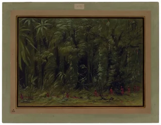 Interieur van een Amazonewoud - Zurumati