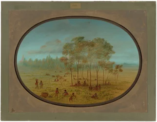 Kiowa Indianen Verzamelen Wilde Druiven