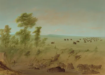 Vastgelopen Buffel en Wolven, 1861-1869