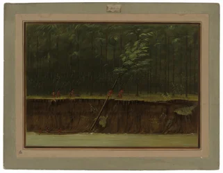 Uitzicht op de Beneden-Mississippi