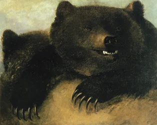 Wapens en fysiognomie van de grizzlybeer, 1846-1848