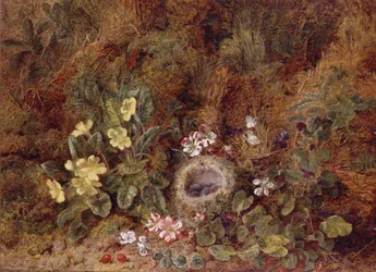 Stilleven met Vogelnest en Wilde Bloemen