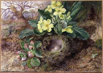 Stilleven met Sleutelbloemen en Vogelnest