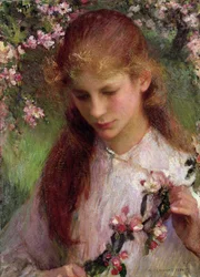Appelbloesem, 1899