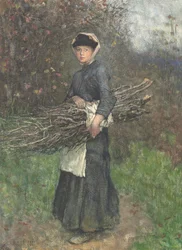 Hout Verzamelen