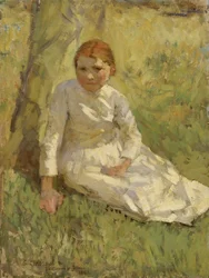 Meisje in een veld