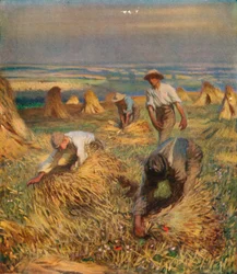 De schoven binden, 1902, 1923