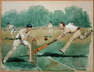 De maand juli: Cricket