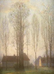 De oude roekenkolonie