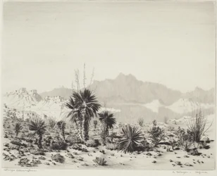 Een luchtspiegeling, Arizona