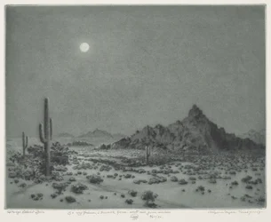 Arizona nacht