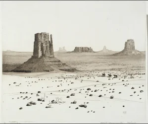 Woestijnmonumenten, Arizona