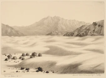 Duinen bij Palm Springs, Californië (nr.2)