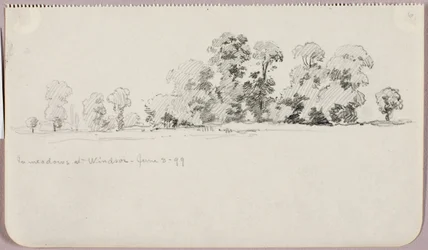 In de weiden van Windsor